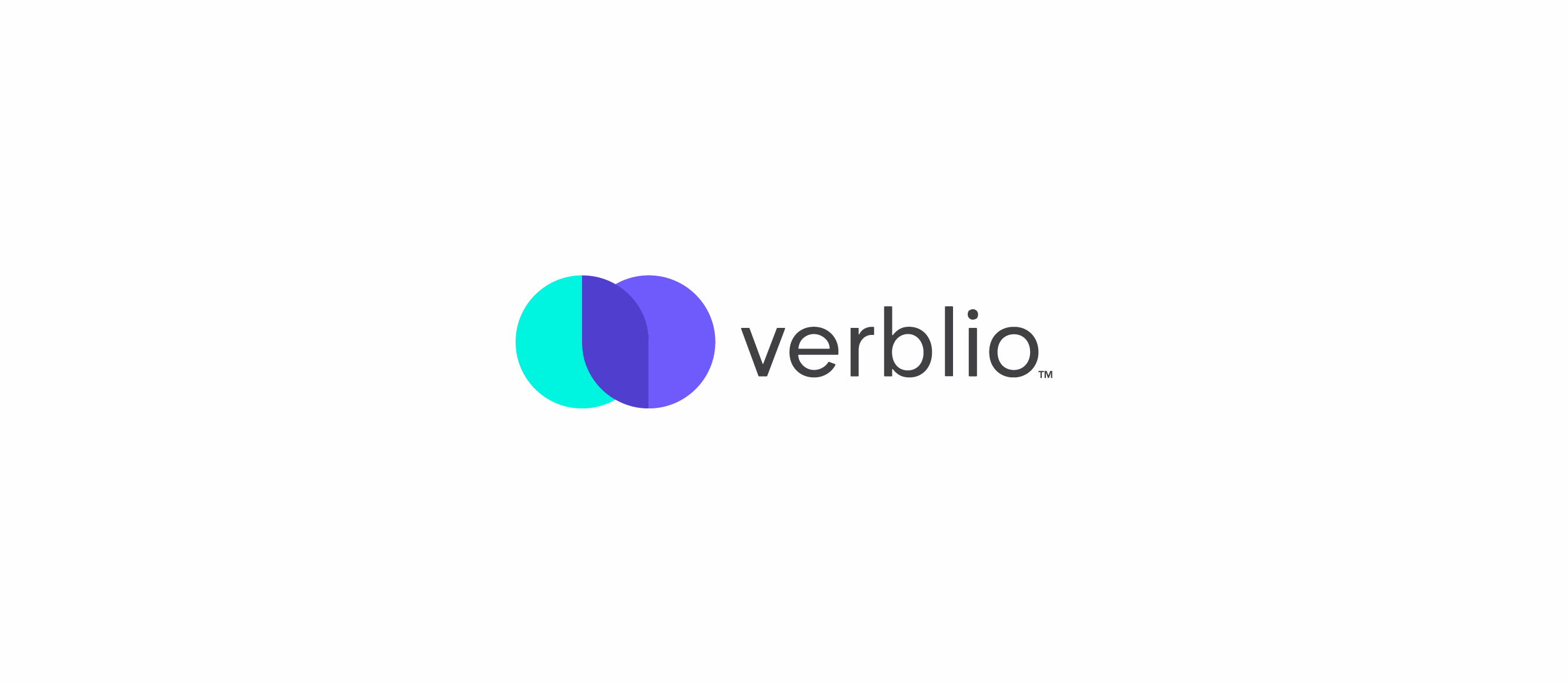 image of the verblio logo and name trademark on a light background