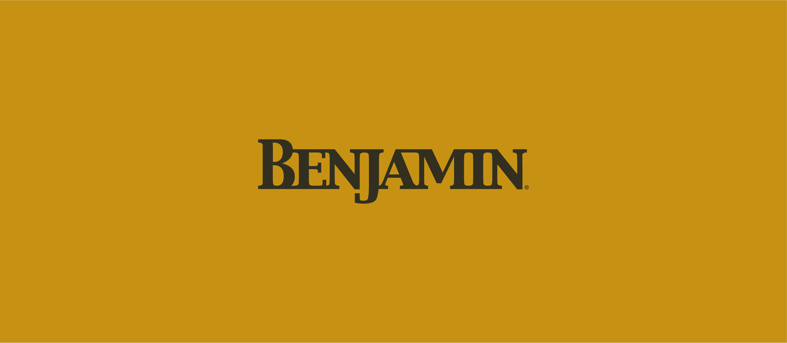 benjamin-layout_benjamin-airguns-brand-design-branding-logo-2